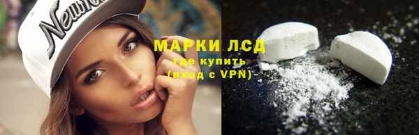 PSILOCYBIN Богданович