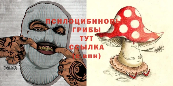 MDMA Богородск